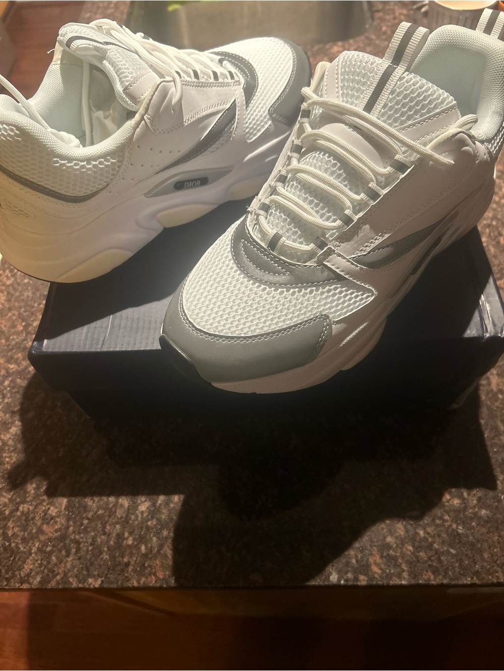 Dior B22 reflective white